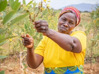 woman farming